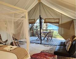 Haida Gwaii Glamping Co.