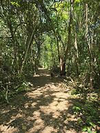 Freshwater Creek Cabanas