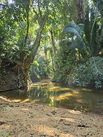 Freshwater Creek Cabanas