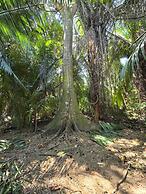 Freshwater Creek Cabanas