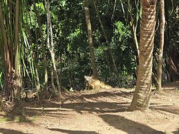 Freshwater Creek Cabanas