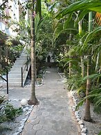 Treetop Bungalows