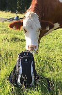 Apartments Living Saalbach