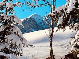 Apartments Living Saalbach