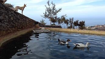 Tropical Oasis in Santa Ursula