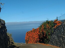 Tropical Oasis in Santa Ursula