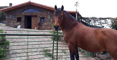 Tropical Oasis in Santa Ursula
