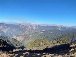 Tirthan Holidays Cottage