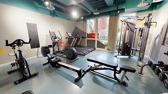 Student Only Collingwood