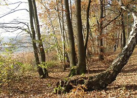 Teupitz Lakeside Escape