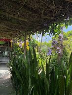 Pousada CHT Refúgio Espiritual e Saúde