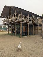 Tuk Tuk Gilhari Noida