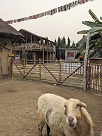 Tuk Tuk Gilhari Noida