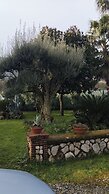 Il giardino di Eolo
