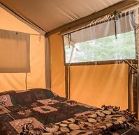 The Woods of Eden Glampground