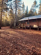 The Woods of Eden Glampground