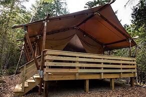 The Woods of Eden Glampground