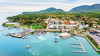 The Woods of Eden Glampground