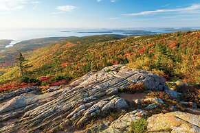 The Woods of Eden Glampground