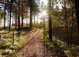 Villa in Burgh-haamstede With Garden