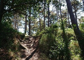Villa in Burgh-haamstede With Garden