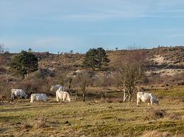 Villa in Burgh-haamstede With Garden