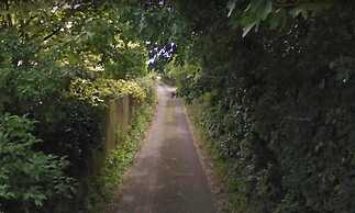 WILLOW RIDGE - a large country house with 3 rental rooms