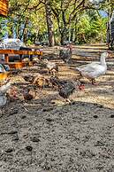 Mays Luxury Farm Stays