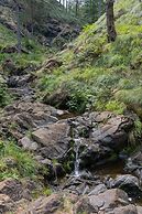 Divski Wellness Resort