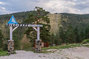 Divski Wellness Resort