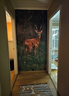 Carelian Pearl - House in Ilomantsi, Eastern Finland