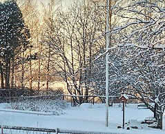 Carelian Pearl - House in Ilomantsi, Eastern Finland