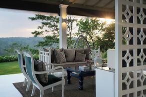 Camelia Ranch