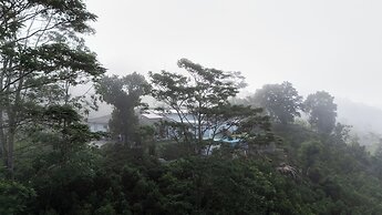 Camelia Ranch