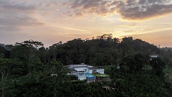 Camelia Ranch