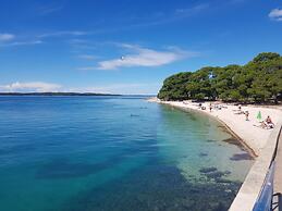 Modern Villa With Private Pool and Garden