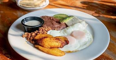 Hotel Boutique Marina Roatan