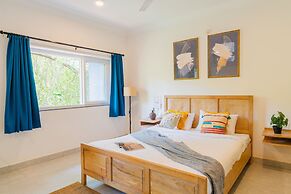 Mona Collective at Serenova