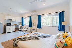 Mona Collective at Serenova