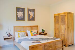 Mona Collective at Serenova