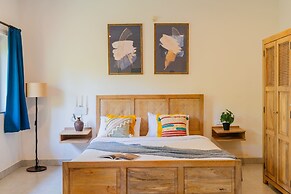 Mona Collective at Serenova