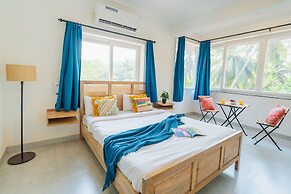 Mona Collective at Serenova