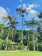 Paradisiacal Site in National Park
