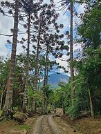 Paradisiacal Site in National Park