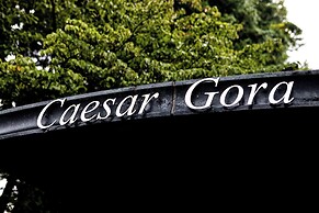 Caesar Gora Club Hakone