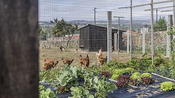 Quintinha S o Martinho Luxury 2 Suites Villa Eira