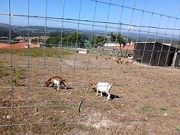 Quintinha S o Martinho Luxury 2 Suites Villa Eira