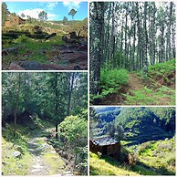 Private Pool Villa Serra da Estrela