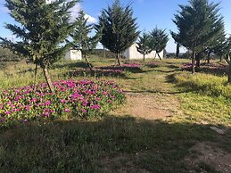 Serra do Caldeir o Private Pool Villa
