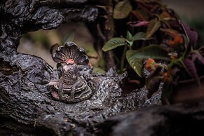 Mingtang Boutique Cottage